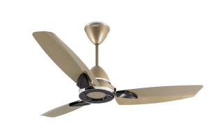 Lambda-Beta-Beige-Top-2B-L