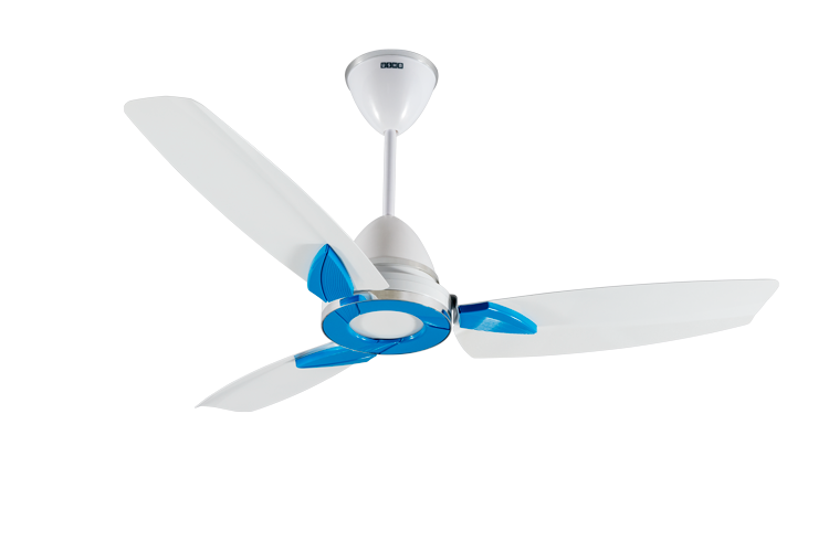 Lambda-Beta-White-Top-2B-L