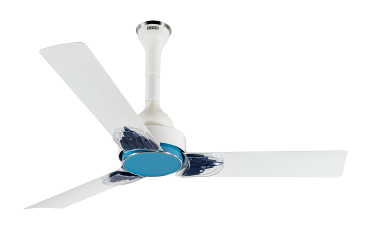 Phi-beta-white-left_0