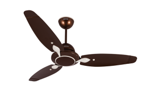 Rho-Beta-Sepia-Brown-Left_0