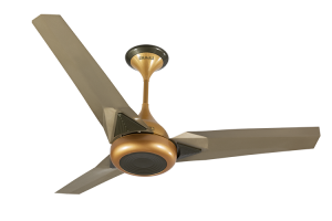 Upsilon-Plus-Beige-Top-2B-L