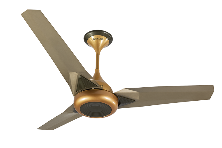 Upsilon-Plus-Beige-Top-2B-L